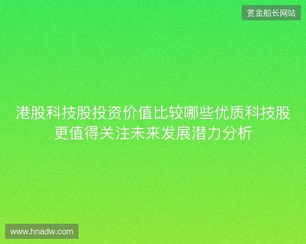港股科技股投资价值比较哪些优质科技股更值得关注未来发展潜力分析