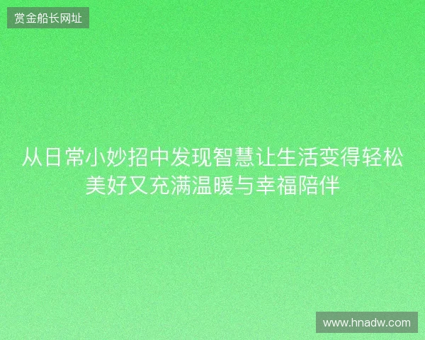 从日常小妙招中发现智慧让生活变得轻松美好又充满温暖与幸福陪伴